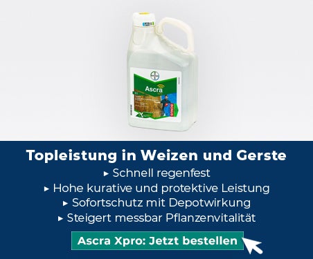 Ascra Xpro: Topleistung in Weizen und Gerste